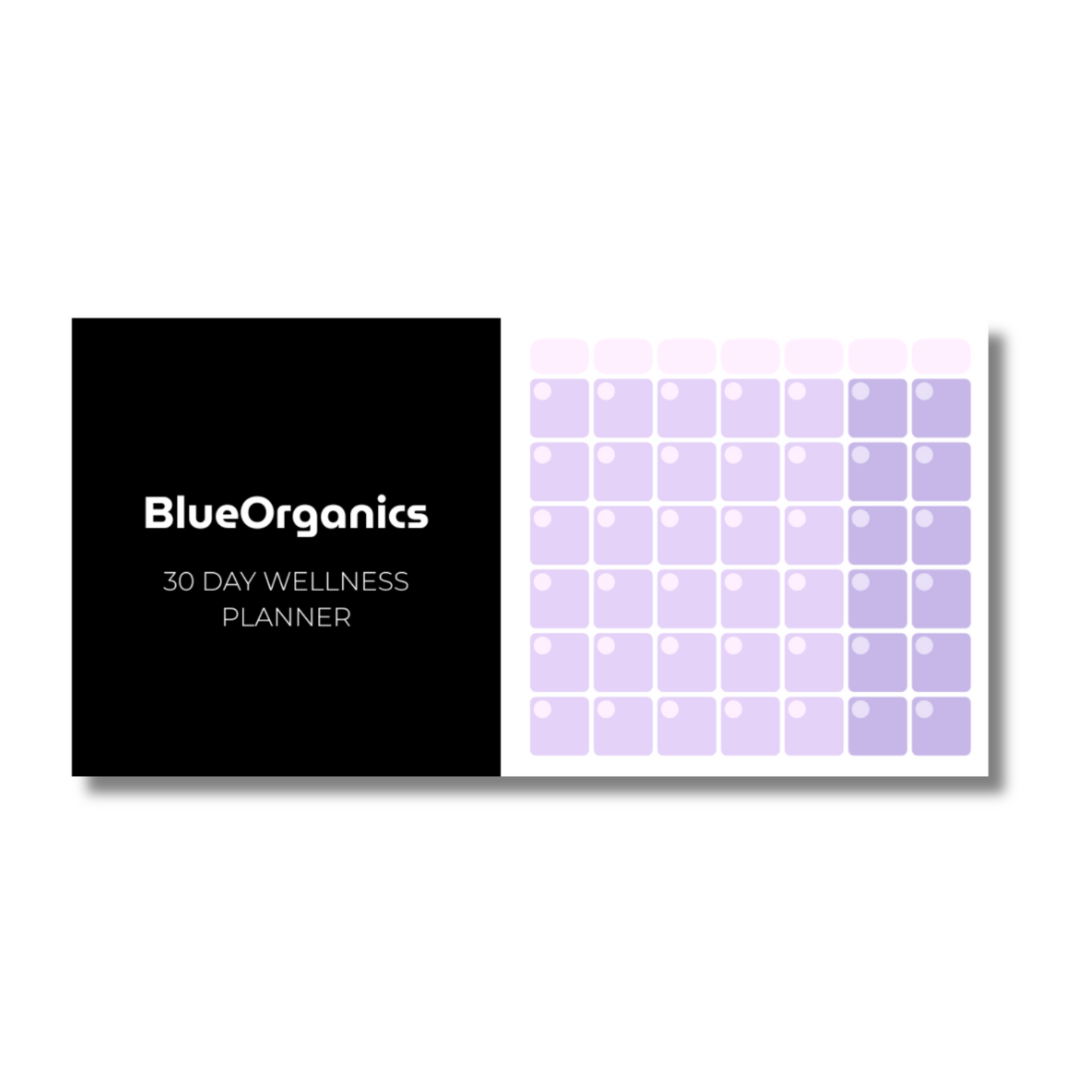 BlueOrganics Wellness Planner